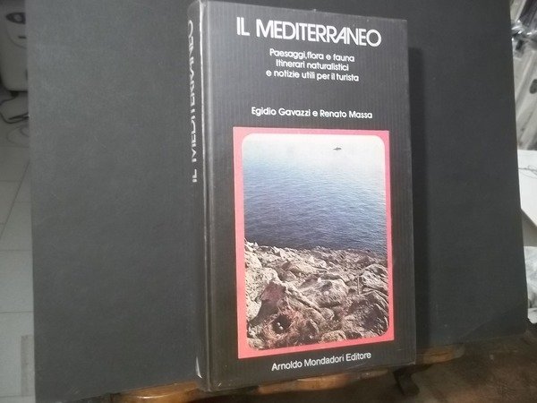 IL MEDITERRANEO