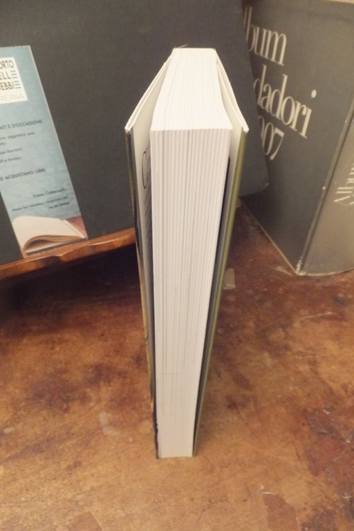 IL MONDO ALLA FINESTRA EMANUELA PULVIRENTI