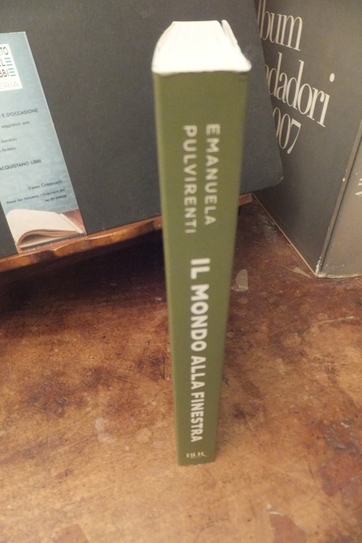 IL MONDO ALLA FINESTRA EMANUELA PULVIRENTI
