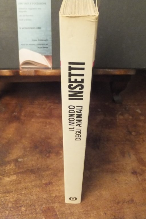 IL MONDO DEGLI ANIMALI INSETTI OSCAR ILLUSTRATI MONDADORI | Immagine Gallery 3