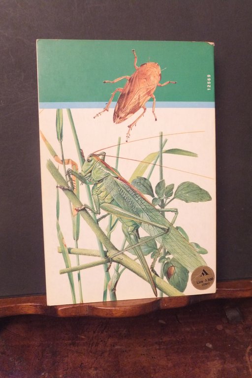 IL MONDO DEGLI INSETTI ADRIANO ZANETTI