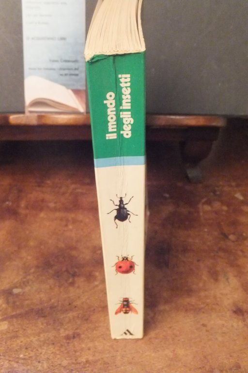 IL MONDO DEGLI INSETTI ADRIANO ZANETTI