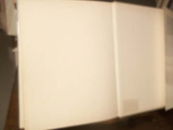 IL MONDO DEI MINERALI