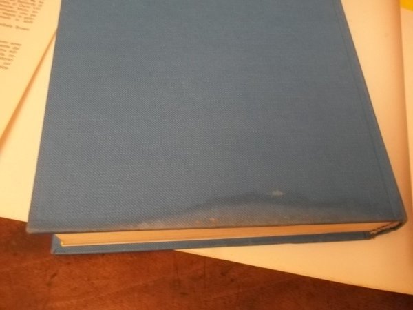 Il paggio del duca. Romazo storico. Emanuele Filiberto a San …