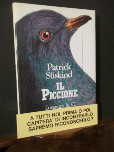 IL PICCIONE