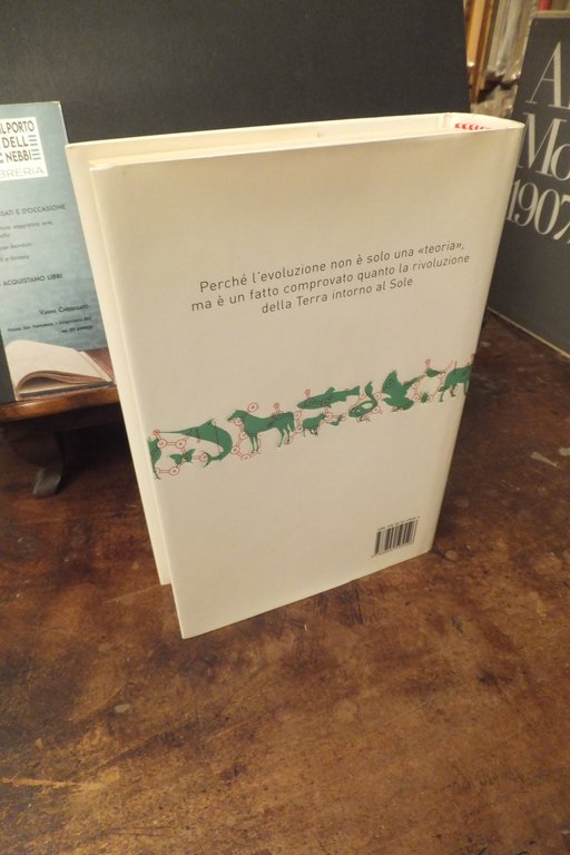 IL PIU' GRANDE SPETTACOLO DELLA TERRA PERCHE' DARWIN AVEVA RAGIONE | Immagine Gallery 3