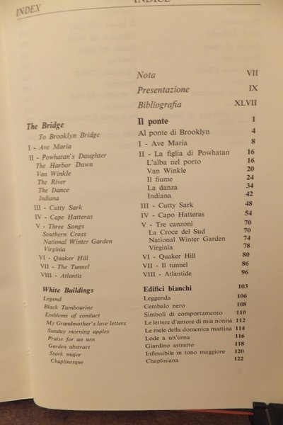 IL PONTE E ALTRE POESIE