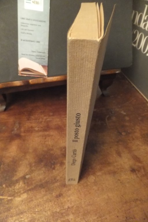 IL POSTO GIUSTO RACCONTI DIEGO CURTÒ