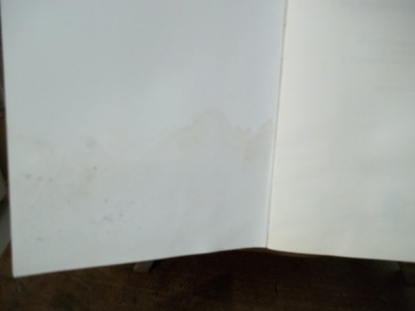 IL PROFETISMO GIOACHIMITA TRA QUATTROCENTO E CINQUECENTO - ATTI DEL …