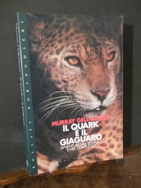 IL QUARK E IL GIAGUARO AVVENTURE NEL SEMPLICE E NEL …