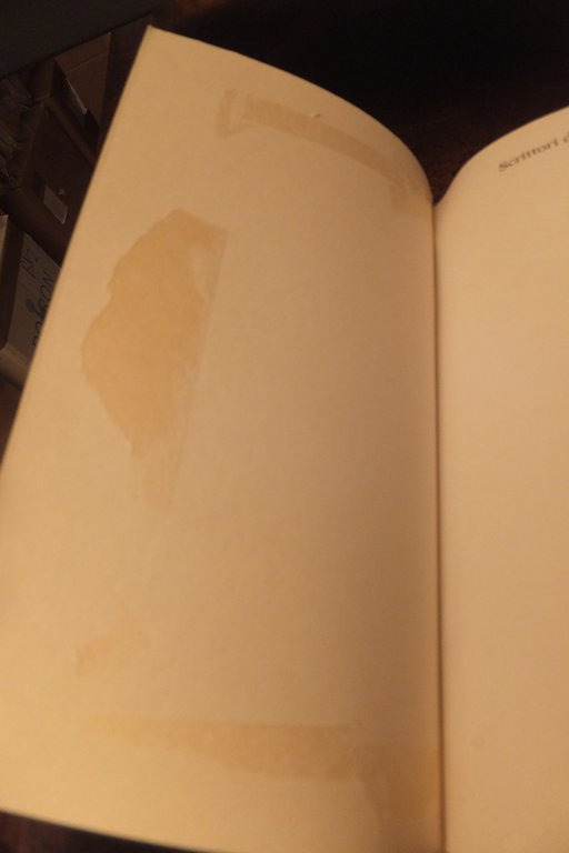 IL ROMANZO DI FERRARA GIORGIO BASSANI | Immagine Gallery 5