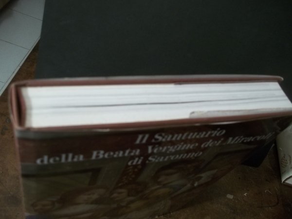 IL SANTUARIO DELLA BEATA VERGINE DEI MIRACOLI DI SARONNO