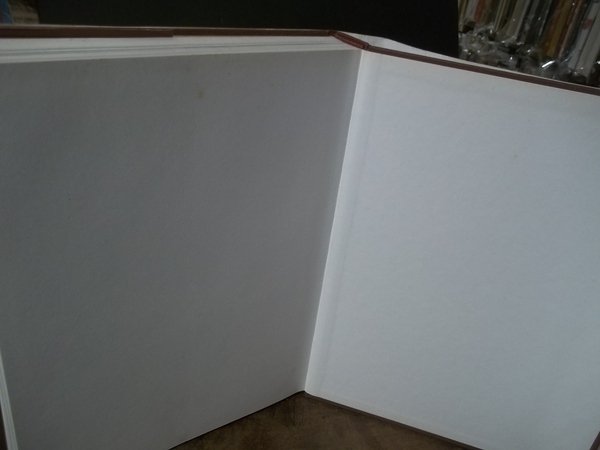 IL SANTUARIO DELLA BEATA VERGINE DEI MIRACOLI DI SARONNO