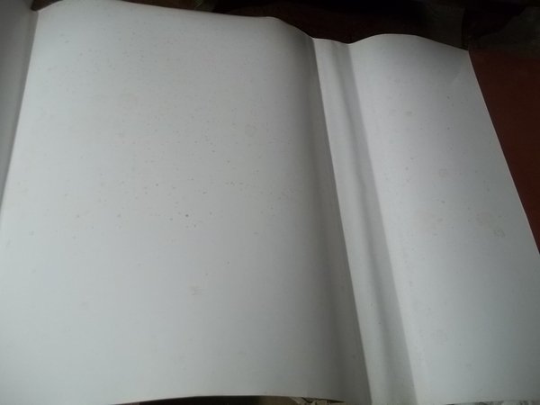 IL SANTUARIO DELLA BEATA VERGINE DEI MIRACOLI DI SARONNO