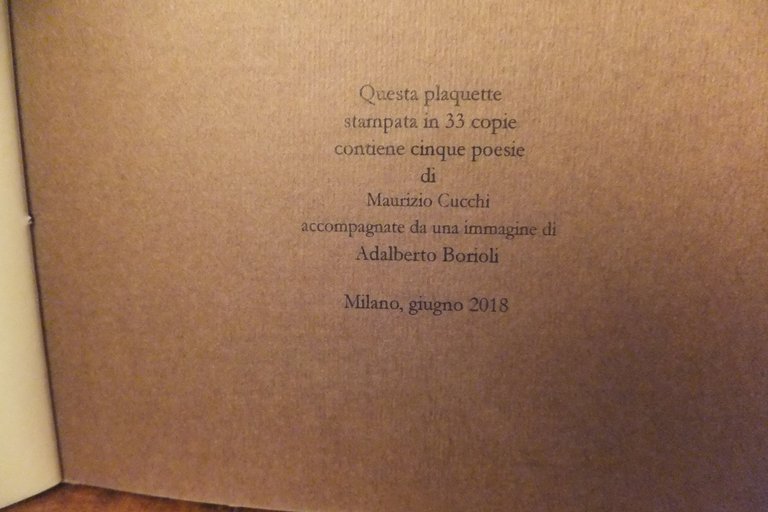 IL TUORLO E L'OVALE MAURIZIO CUCCHI IMMAGINE ADALBERTO BORIOLI | Immagine Gallery 3