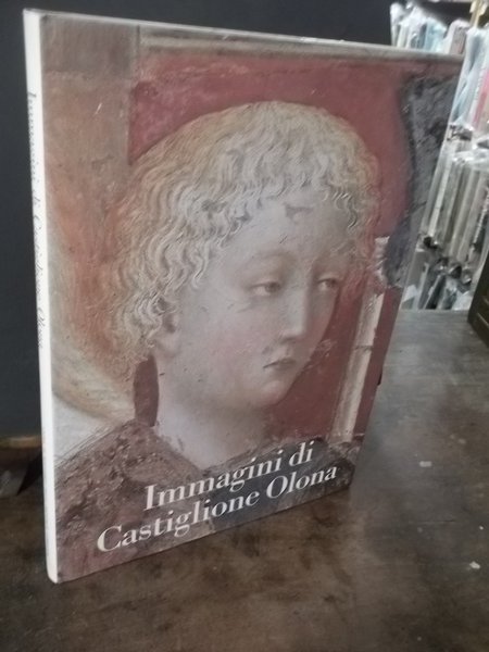 IMMAGINI DI CASTIGLIONE OLONA