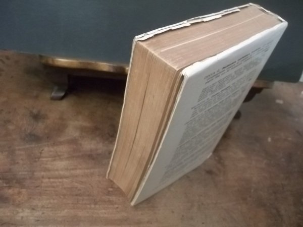 INDUSTRIA DEL PASTIFICIO O DEI MACCHERONI