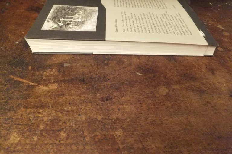 INFINITO LEOPARDI ANNA DE SIMONE