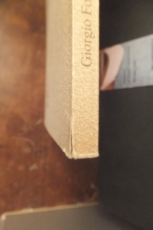 INTONACI STORICI E NON I QUADERNI DI GIORGIO FORTI