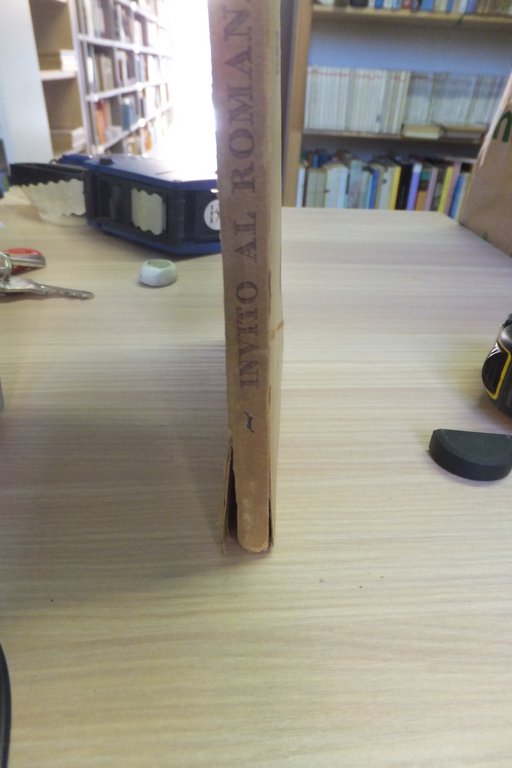 INVITO AL ROMANZO G. TITTA ROSA