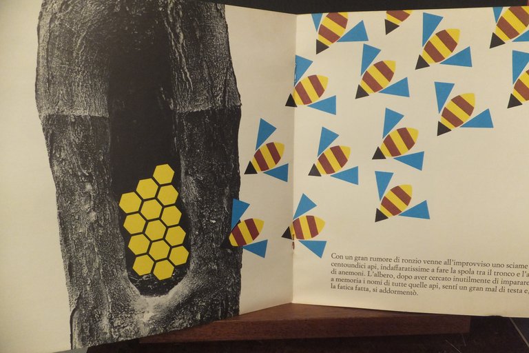 L'ALBERO IN AFFITTO PAOLO CAIELLI | Immagine Gallery 3