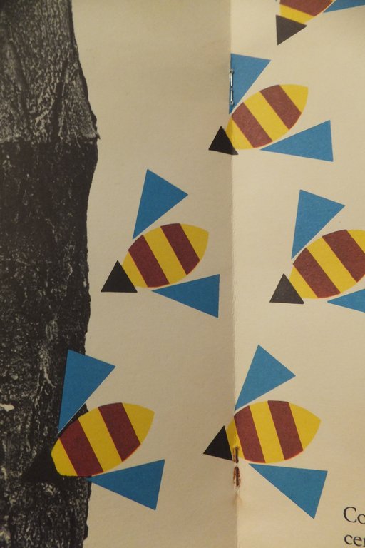 L'ALBERO IN AFFITTO PAOLO CAIELLI | Immagine Gallery 4