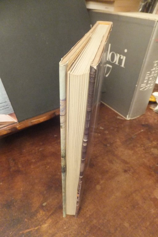 L'AMERICA DEI PIONIERI