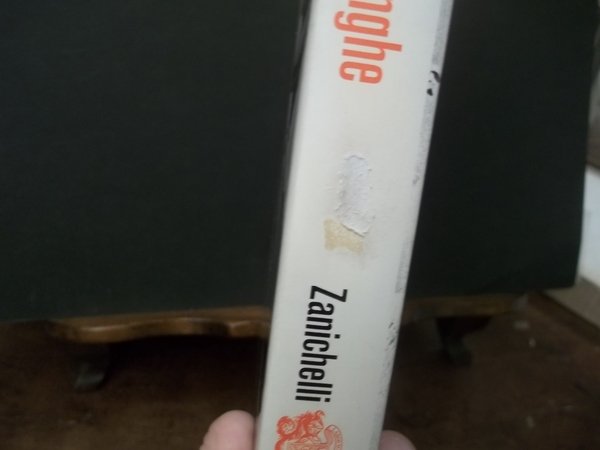 L'ENIGMA DELLE VALANGHE