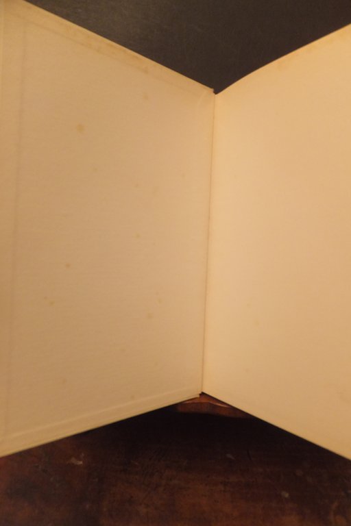 L'OMPROVVISO DI MILANO ROBERTO SANESI