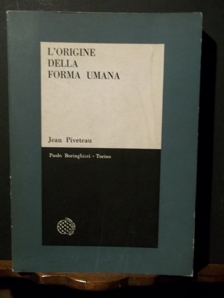 L'origine della forma umana