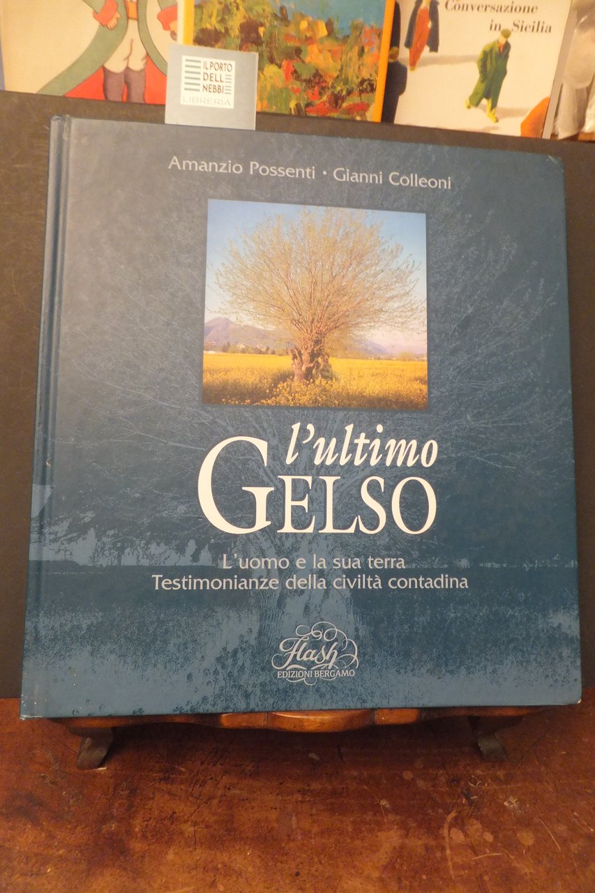 L'ULTIMO GELSO A. POSSENTI - G. COLLEONI | Immagine principale