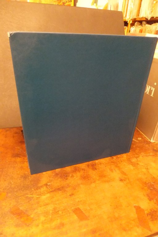 L'ULTIMO GELSO A. POSSENTI - G. COLLEONI | Immagine Gallery 2