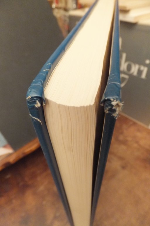 L'ULTIMO GELSO A. POSSENTI - G. COLLEONI | Immagine Gallery 4