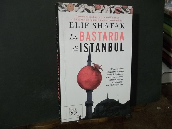 LA BASTARDA DI ISTANBUL