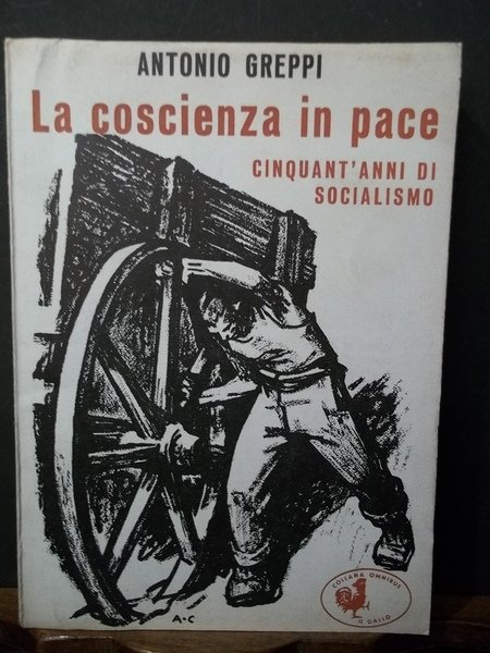 La coscienza in pace. Cinquant'anni di socialismo