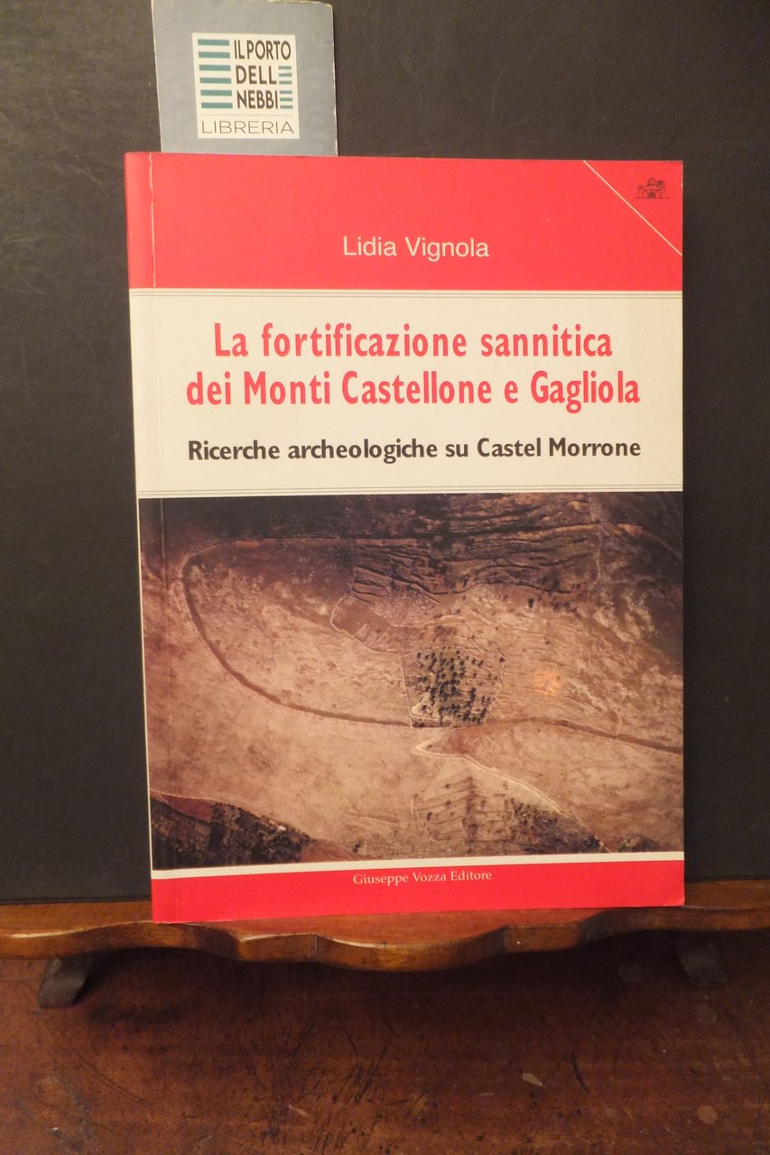 LA FORTIFICAZIONE SANNITICA DEI MONTI CASTELLONE E GAGLIOLA LIDIA VIGNOLA