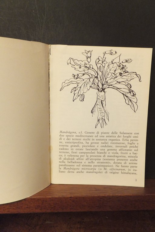 LA MANDRAGOLA DI NICCOLÒ MACHIAVELLI - LA COMPAGNIA DEL CAPRANICA …