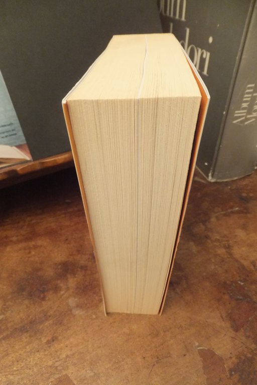 LA MERAVIGLIOSA STORIA DELLA REPUBBLICA DEI BRIGANTI ROMA 1849