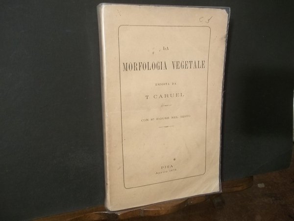 LA MORFOLOGIA VEGETALE