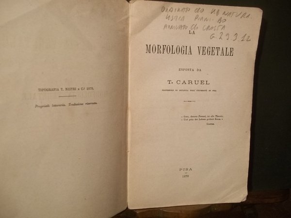 LA MORFOLOGIA VEGETALE