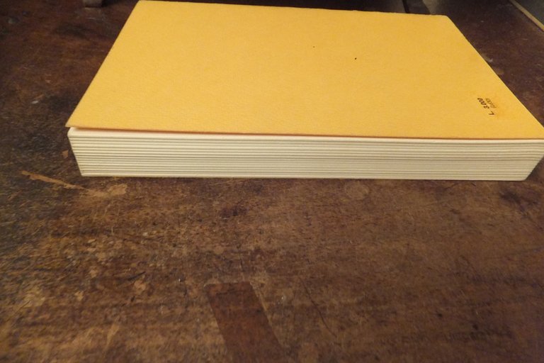 LA PARTE DAVANTI ROBERTO RIDOLFI