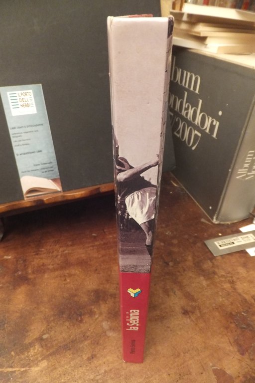 LA SEBINA UN SECOLO DELLA NOSTRA STORIA PIETRO SERINA