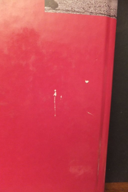 LA SEBINA UN SECOLO DELLA NOSTRA STORIA PIETRO SERINA