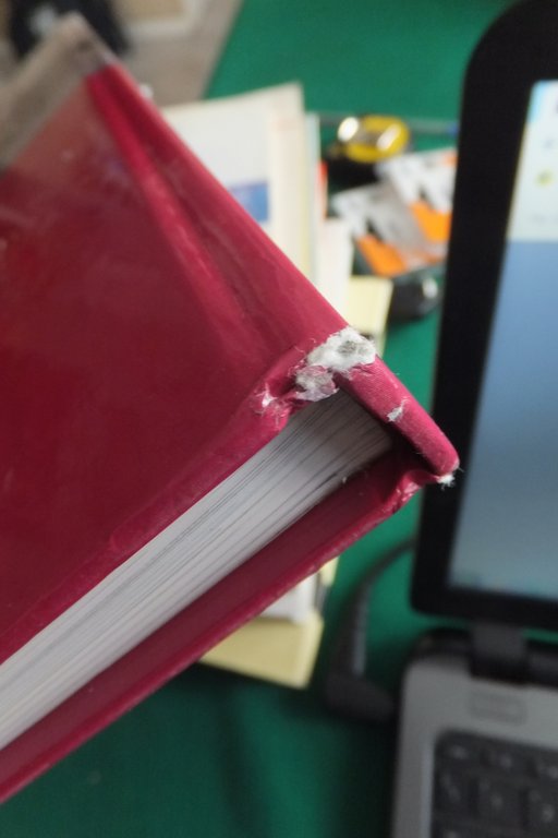 LA SEBINA UN SECOLO DELLA NOSTRA STORIA PIETRO SERINA