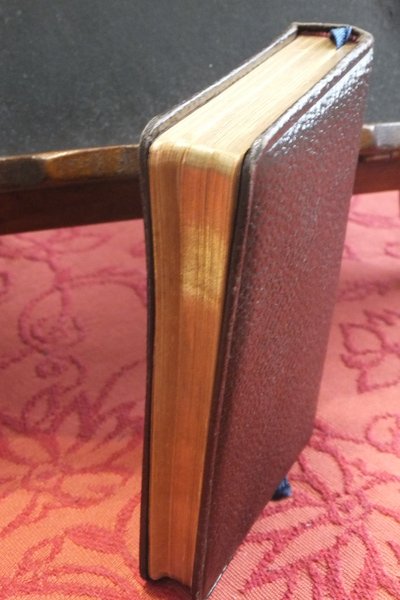 LA SPOSA CRISTIANA | Immagine Gallery 4