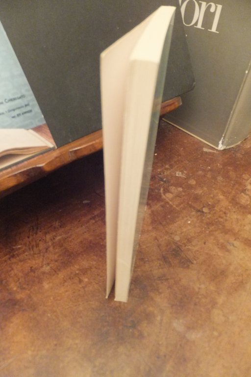 LA STRADA DI SAN GIOVANNI ITALO CALVINO