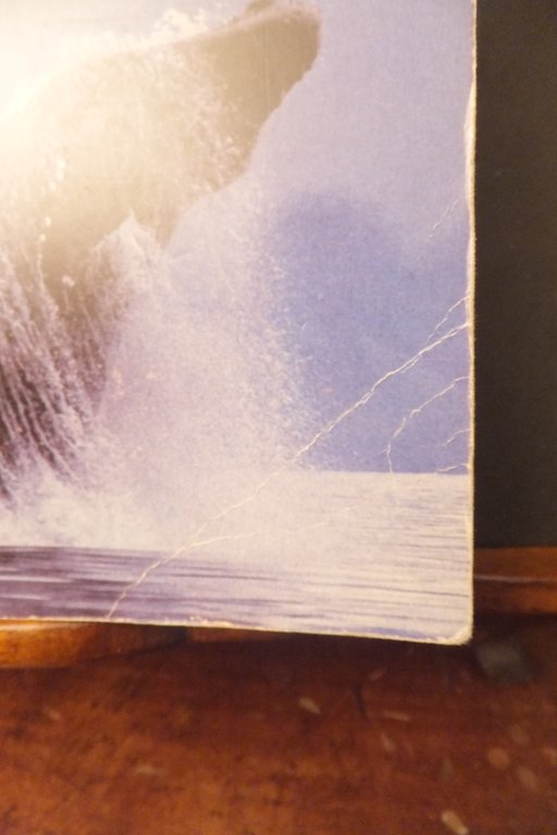 LA VITA SEGRETA DELLE BALENE ROGER PAYNE