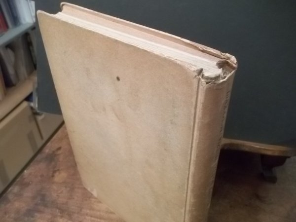 LA XVI ESPOSIZIONE INTERNAZIONALE D'ARTE VENEZIA MCMXXVIII | Immagine Gallery 2