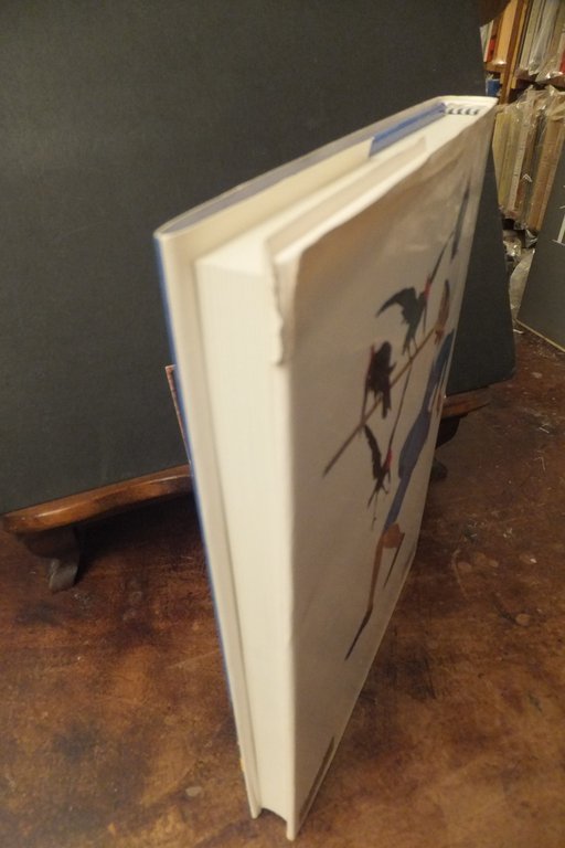 LE AVVENTURE DI PINOCCHIO ILLUSTRAZIONI DI ALVARO | Immagine Gallery 3
