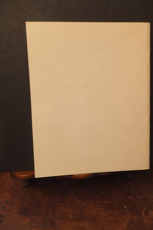 LE LETTERE DELLA LONTANANZA CORRISPONDENZA DEI MILITARI PRIMA GUERRA MONDIALE